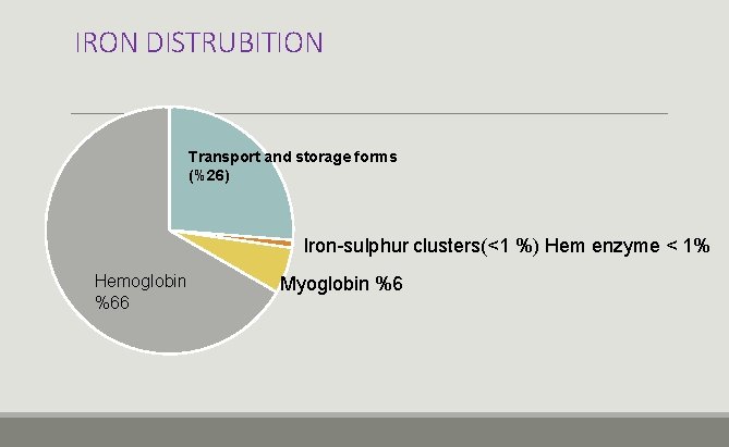 IRON DISTRUBITION Transport and storage forms (%26) Iron-sulphur clusters(<1 %) Hem enzyme < 1%