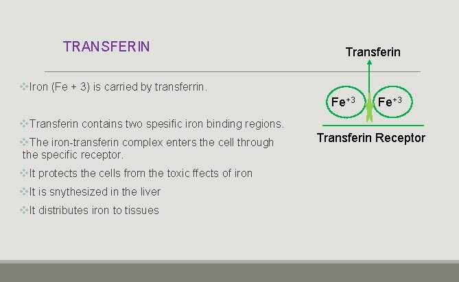 TRANSFERIN Transferin v. Iron (Fe + 3) is carried by transferrin. Fe+3 v. Transferin