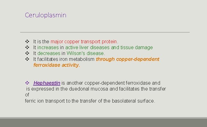 Ceruloplasmin v v It is the major copper transport protein. It increases in active