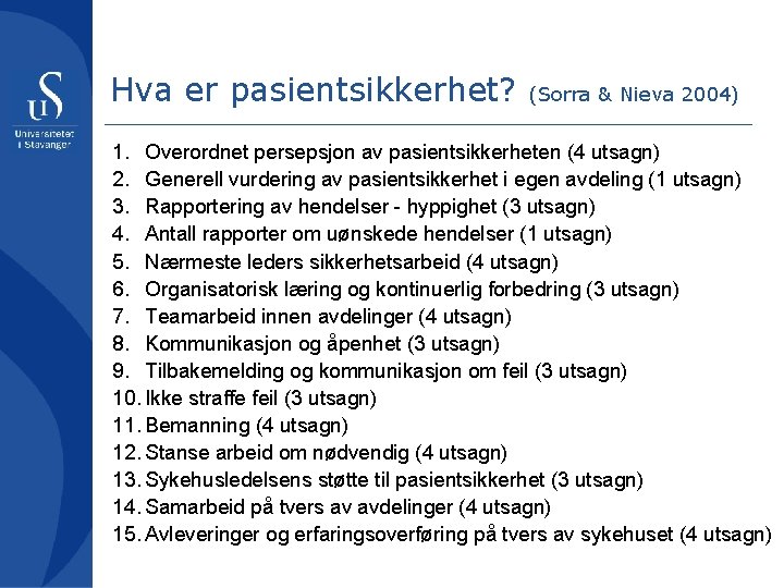 Hva er pasientsikkerhet? (Sorra & Nieva 2004) 1. Overordnet persepsjon av pasientsikkerheten (4 utsagn)