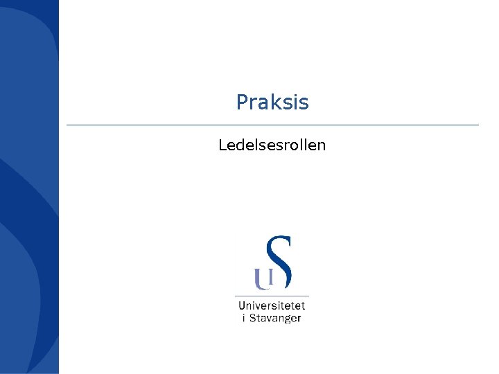 Praksis Ledelsesrollen 