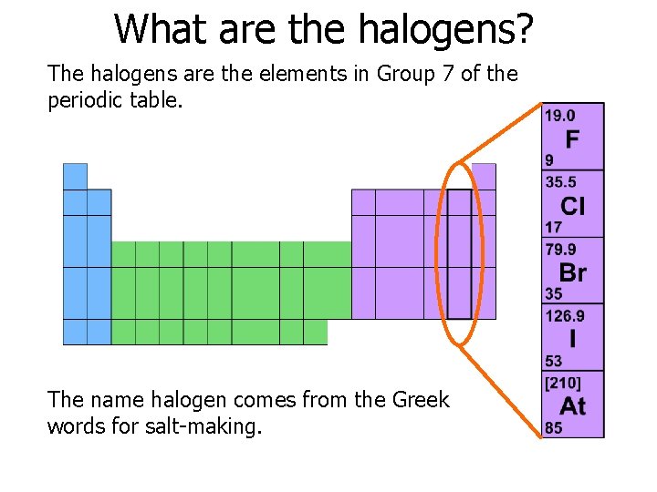 What are the halogens? The halogens are the elements in Group 7 of the