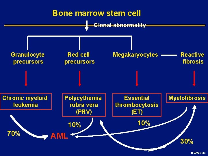 Bone marrow stem cell Clonal abnormality Granulocyte precursors Chronic myeloid leukemia Red cell precursors