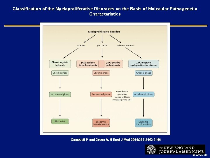 Classification of the Myeloproliferative Disorders on the Basis of Molecular Pathogenetic Characteristics Campbell P