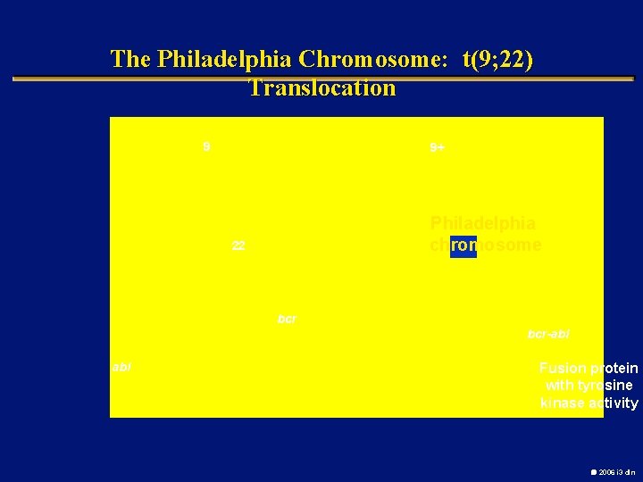 The Philadelphia Chromosome: t(9; 22) Translocation 9 9+ Philadelphia Ph chromosome 22 bcr-abl Fusion