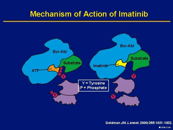 Mechanism of Action of Imatinib Bcr-Abl Substrate P P P ATP Imatinib Y =