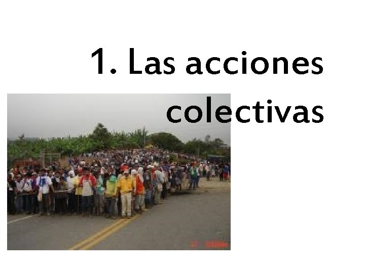 1. Las acciones colectivas 