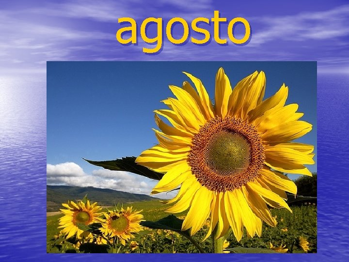 agosto 