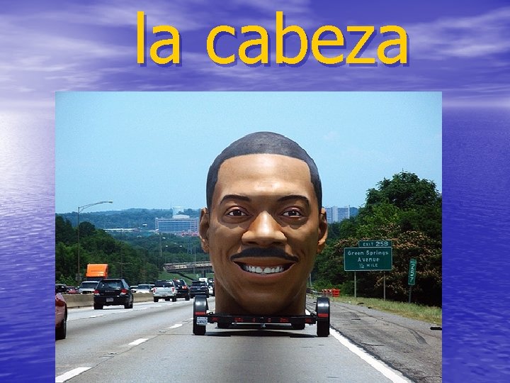 la cabeza 