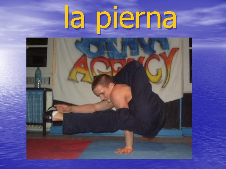 la pierna 