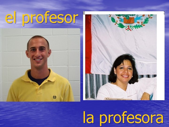 el profesor la profesora 