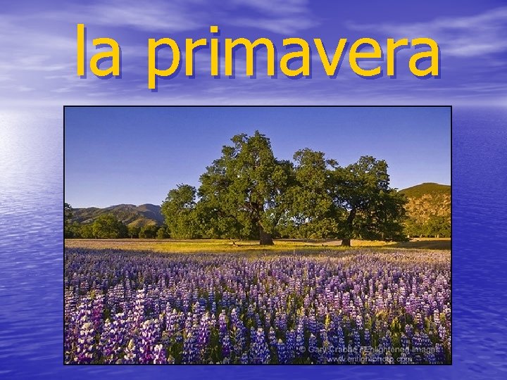 la primavera 