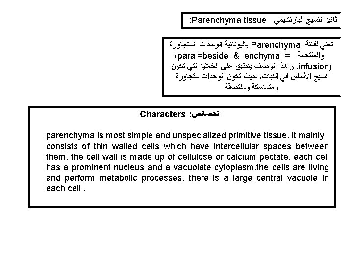 : Parenchyma tissue ﺍﻟﻨﺴﻴﺞ ﺍﻟﺒﺎﺭﻧﺸﻴﻤﻲ : ﺛﺎﻧﻴ ﺑﺎﻟﻴﻮﻧﺎﻧﻴﺔ ﺍﻟﻮﺣﺪﺍﺕ ﺍﻟﻤﺘﺠﺎﻭﺭﺓ Parenchyma ﺗﻌﻨﻲ ﻟﻔﻈﺔ (para