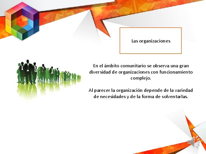 Las organizaciones En el ámbito comunitario se observa una gran diversidad de organizaciones con