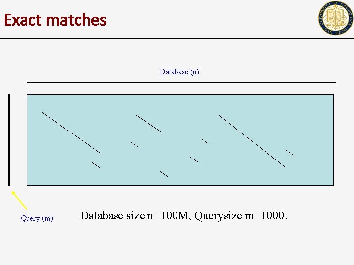 Exact matches Database (n) Query (m) Database size n=100 M, Querysize m=1000. 