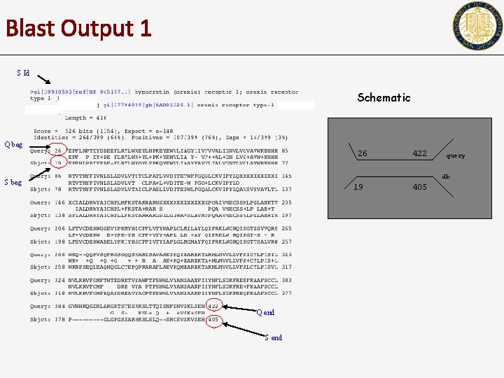 Blast Output 1 S Id Schematic Q beg 26 422 query db S beg