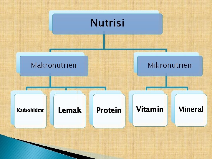 Nutrisi Makronutrien Karbohidrat Lemak Mikronutrien Protein Vitamin Mineral 