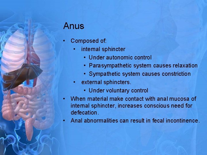 Anus • Composed of: • internal sphincter • Under autonomic control • Parasympathetic system