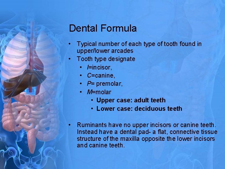 Dental Formula • Typical number of each type of tooth found in upper/lower arcades