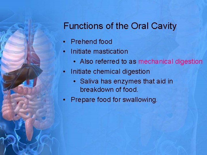 Functions of the Oral Cavity • Prehend food • Initiate mastication • Also referred