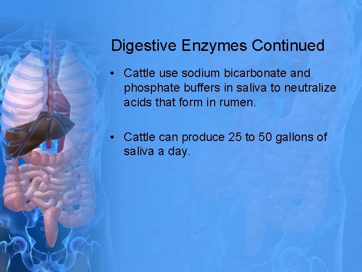Digestive Enzymes Continued • Cattle use sodium bicarbonate and phosphate buffers in saliva to