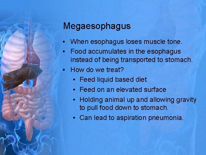 Megaesophagus • When esophagus loses muscle tone. • Food accumulates in the esophagus instead
