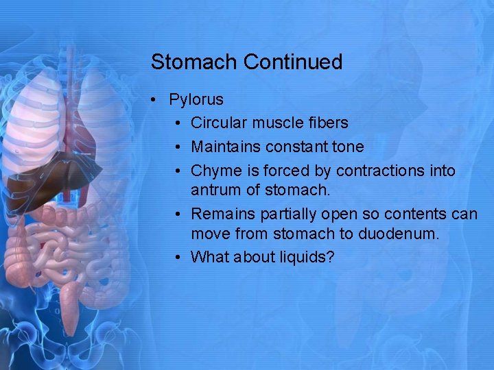 Stomach Continued • Pylorus • Circular muscle fibers • Maintains constant tone • Chyme