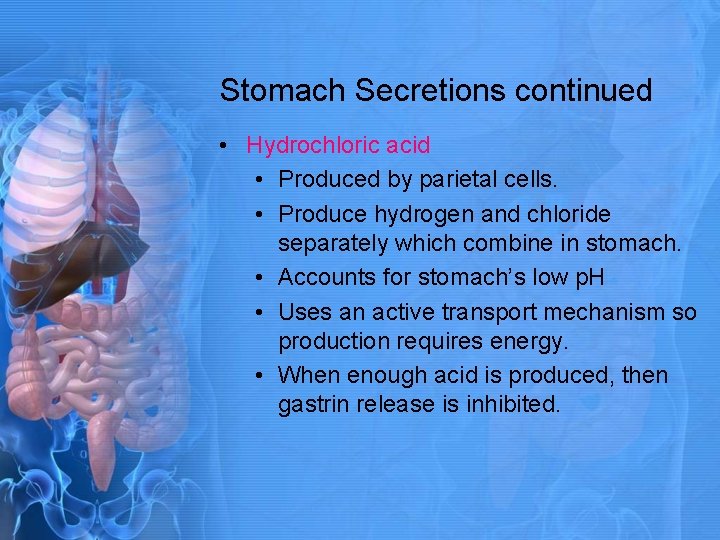 Stomach Secretions continued • Hydrochloric acid • Produced by parietal cells. • Produce hydrogen