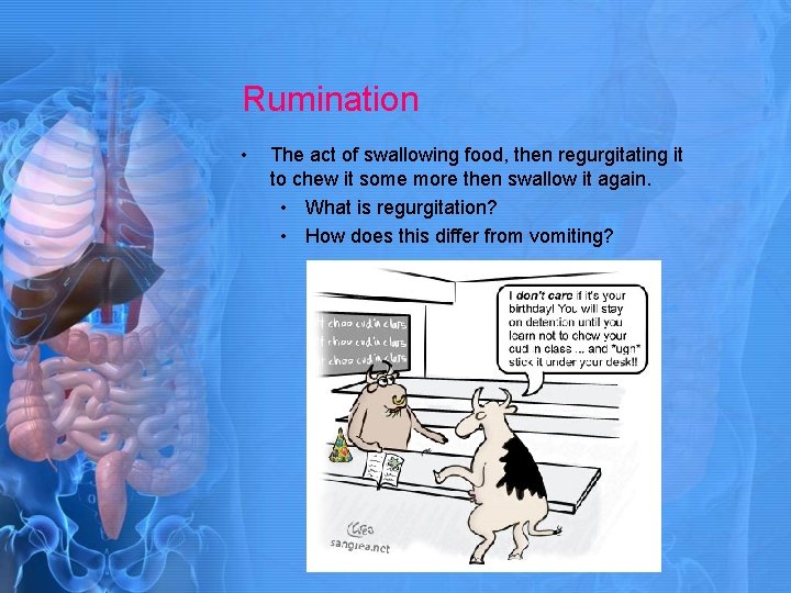 Rumination • The act of swallowing food, then regurgitating it to chew it some