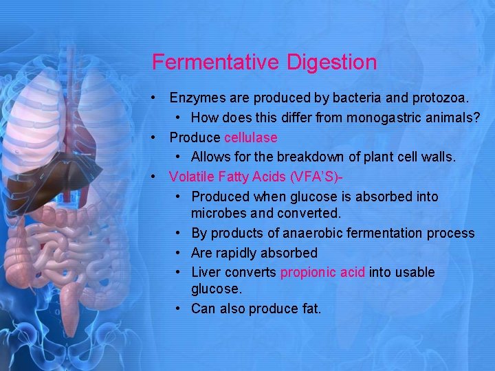 Fermentative Digestion • Enzymes are produced by bacteria and protozoa. • How does this
