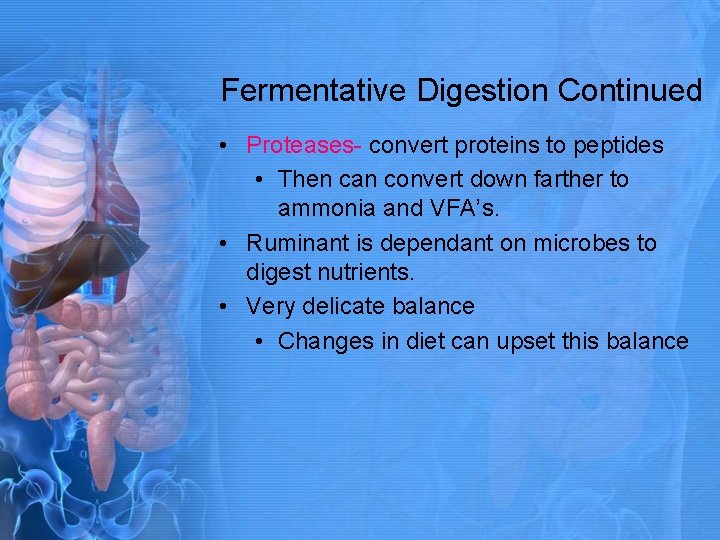 Fermentative Digestion Continued • Proteases- convert proteins to peptides • Then can convert down