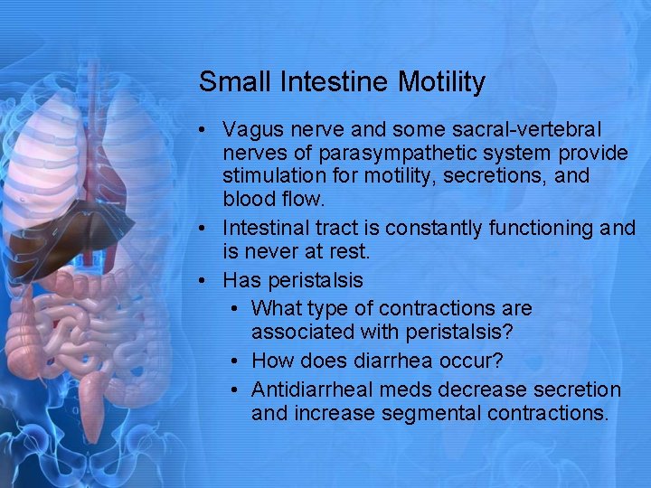 Small Intestine Motility • Vagus nerve and some sacral-vertebral nerves of parasympathetic system provide