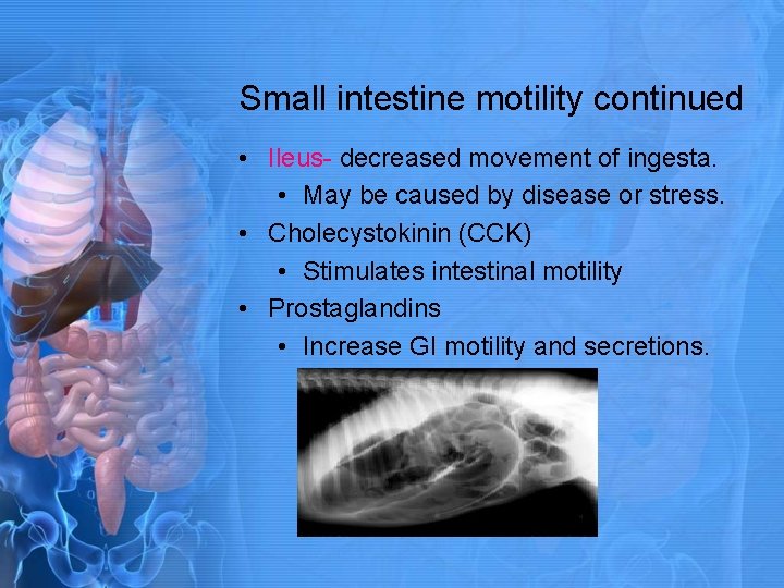 Small intestine motility continued • Ileus- decreased movement of ingesta. • May be caused