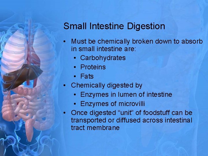 Small Intestine Digestion • Must be chemically broken down to absorb in small intestine