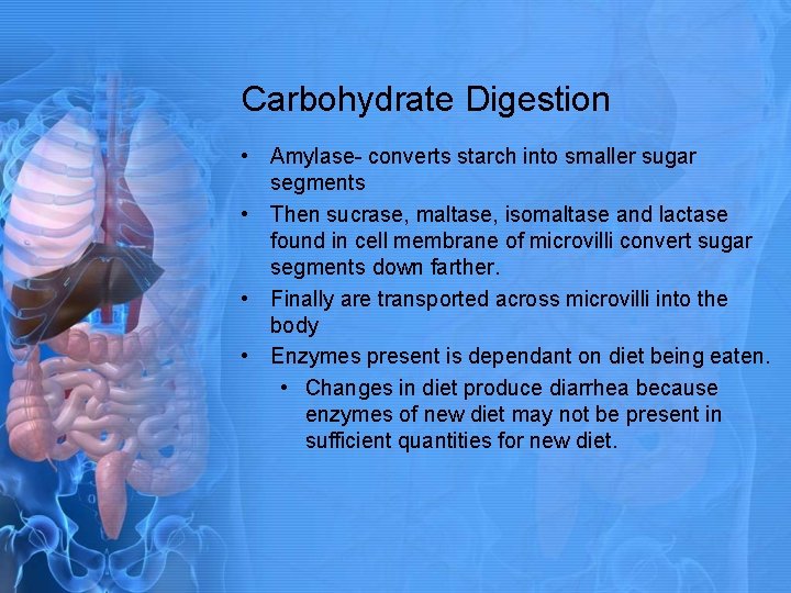 Carbohydrate Digestion • Amylase- converts starch into smaller sugar segments • Then sucrase, maltase,