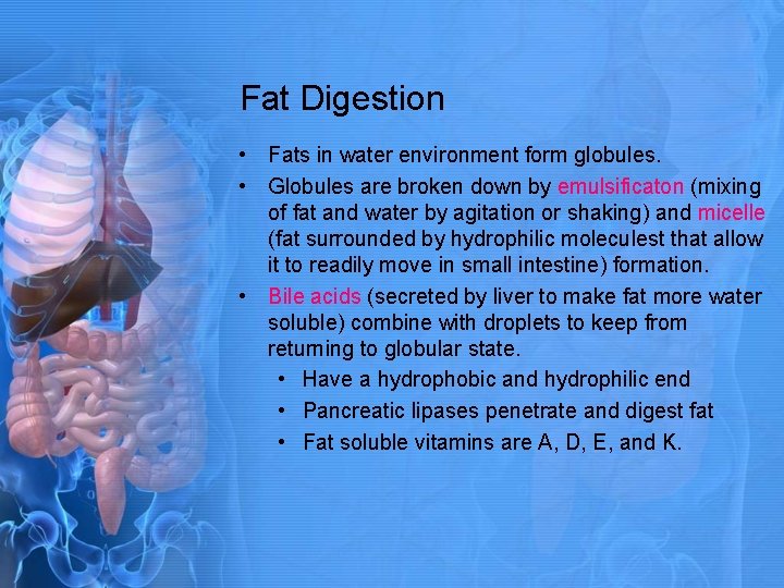 Fat Digestion • Fats in water environment form globules. • Globules are broken down