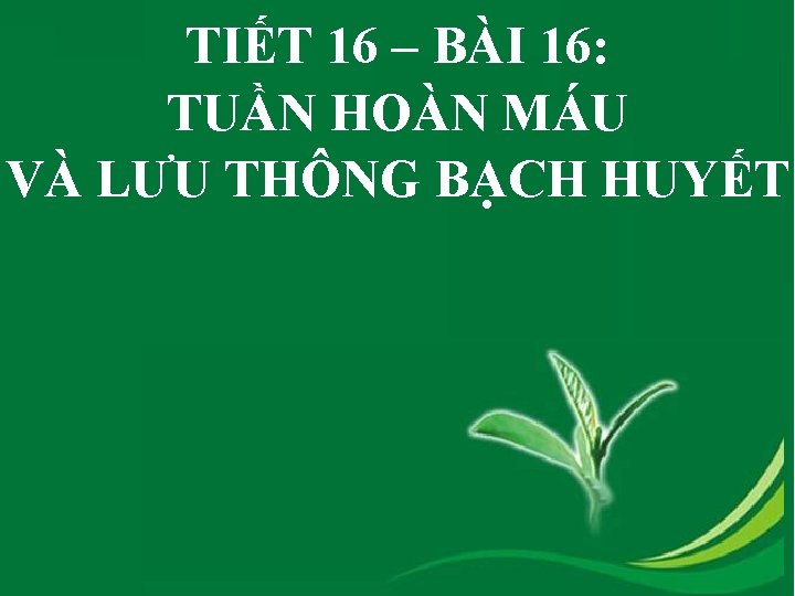 TIẾT 16 – BÀI 16: TUẦN HOÀN MÁU VÀ LƯU THÔNG BẠCH HUYẾT 