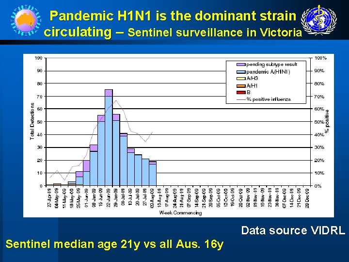 Pandemic H 1 N 1 is the dominant strain circulating – Sentinel surveillance in