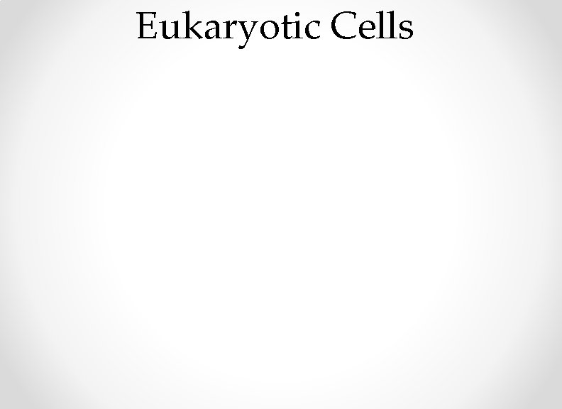 Eukaryotic Cells 