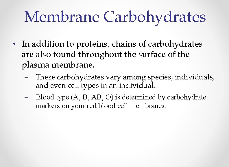 Membrane Carbohydrates • In addition to proteins, chains of carbohydrates are also found throughout