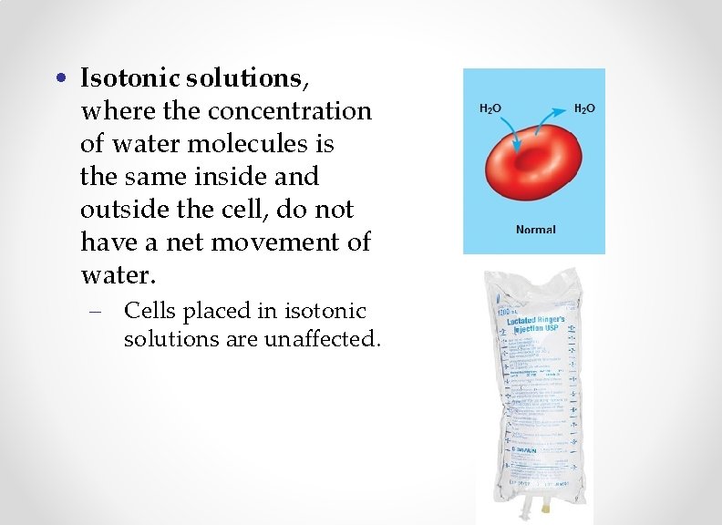  • Isotonic solutions, where the concentration of water molecules is the same inside