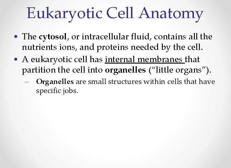 Eukaryotic Cell Anatomy • The cytosol, or intracellular fluid, contains all the nutrients ions,