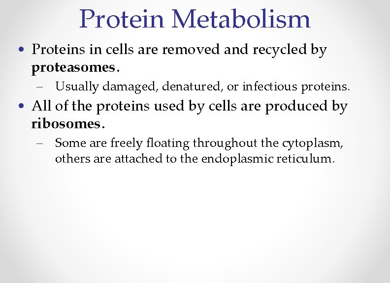 Protein Metabolism • Proteins in cells are removed and recycled by proteasomes. – Usually