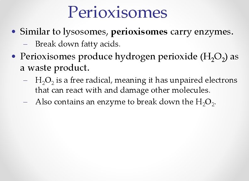 Perioxisomes • Similar to lysosomes, perioxisomes carry enzymes. – Break down fatty acids. •