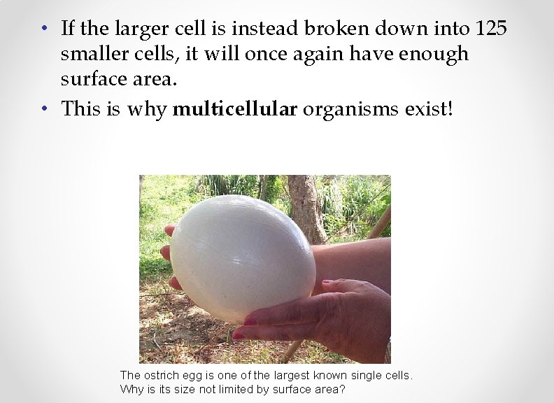  • If the larger cell is instead broken down into 125 smaller cells,