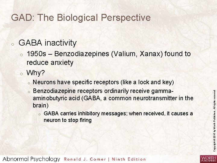 GAD: The Biological Perspective GABA inactivity o o 1950 s – Benzodiazepines (Valium, Xanax)