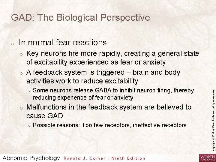 GAD: The Biological Perspective In normal fear reactions: o o Key neurons fire more