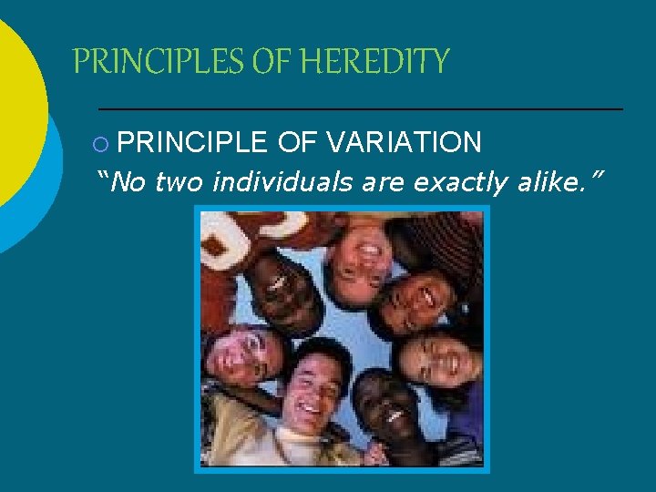 PRINCIPLES OF HEREDITY ¡ PRINCIPLE OF VARIATION “No two individuals are exactly alike. ”