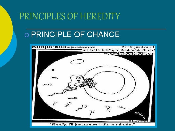 PRINCIPLES OF HEREDITY ¡ PRINCIPLE OF CHANCE 