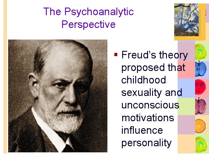 The Psychoanalytic Perspective § Freud’s theory proposed that childhood sexuality and unconscious motivations influence